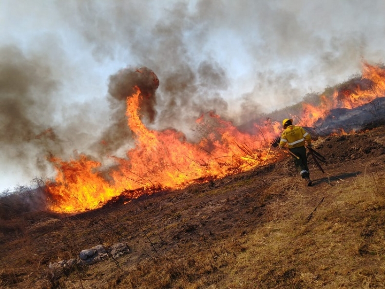 Sofocan importante incendio de pastizales en Loteo Las Mar&iacute;as