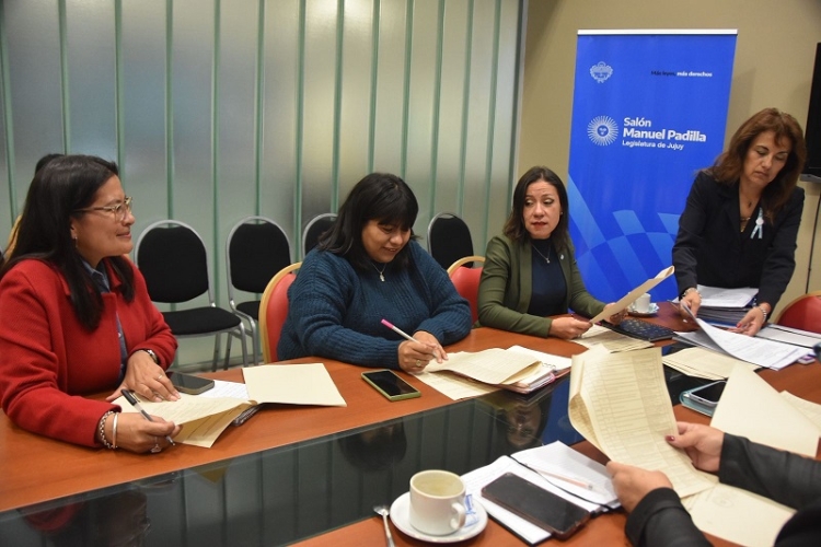 La comisi&oacute;n de Asuntos Sociales avanza en varios proyectos