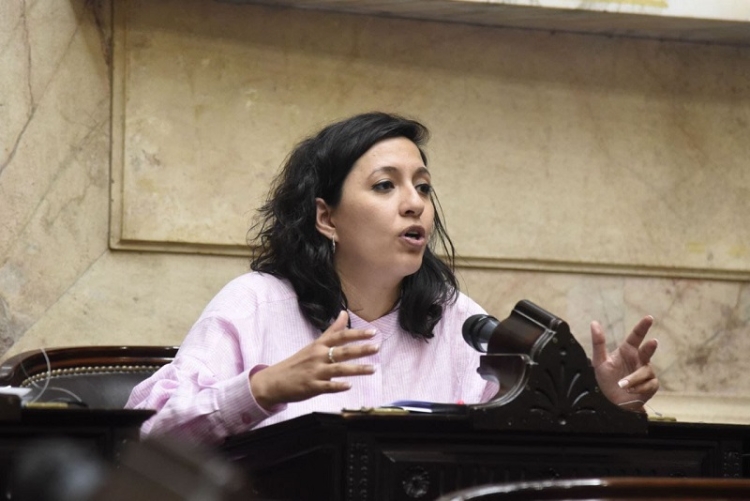 Leila Chaher: &ldquo;El ajuste lo pagar&aacute;n los argentinos y no la casta&rdquo;