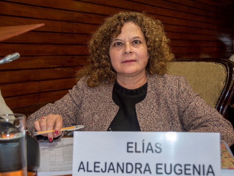 La diputada Alejandra Cejas es una mentirosa y violenta