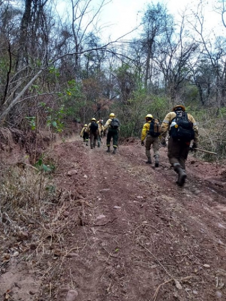 Incendios forestales: se extinguieron todos los focos, en una de las temporadas m&aacute;s cr&iacute;ticas