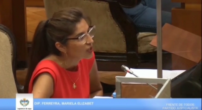 &ldquo;El gobierno tiene el estilo de responsabilizar siempre a otros por sus propios errores&rdquo;