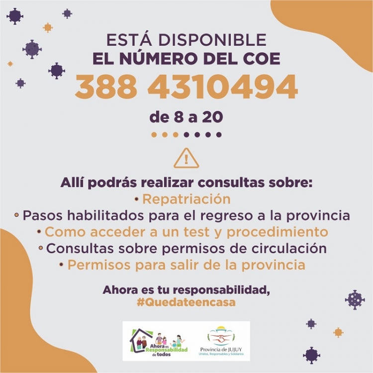 L&Iacute;NEA DE CONSULTA DEL COE