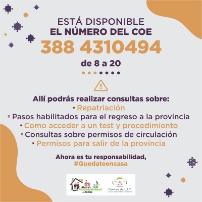 L&Iacute;NEA DE CONSULTA DEL COE