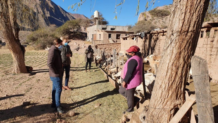 El Gobierno apuesta al fortalecimiento de productores de quesos de cabra