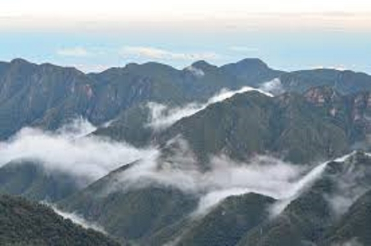 La Corte Suprema conden&oacute; al Estado nacional y a Jujuy por da&ntilde;o ambiental en el Parque Nacional Calilegua