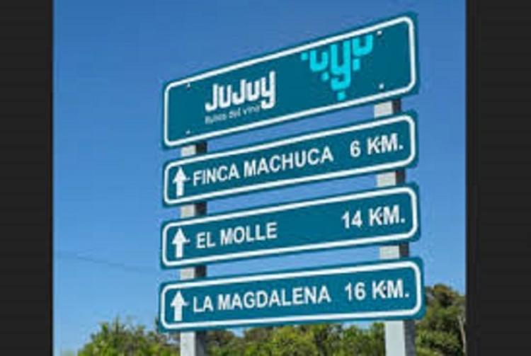 Jujuy consolida su Ruta del Vino: un producto ic&oacute;nico que crece entre valles y altura extrema