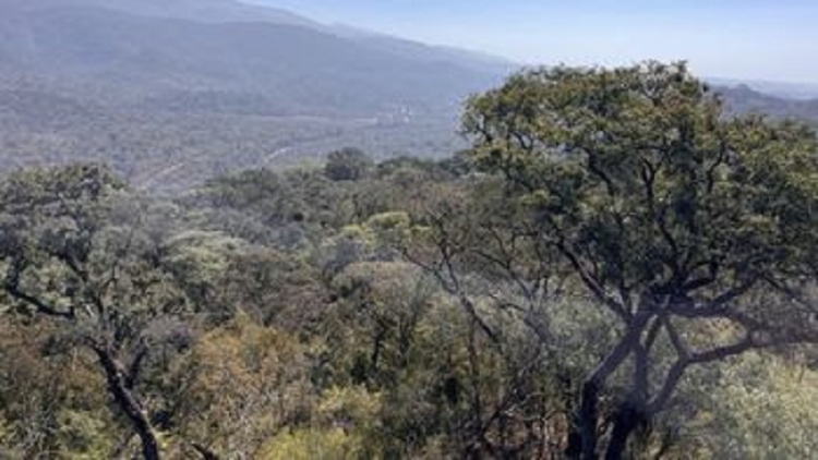 Jujuy avanza en la construcción de su Estrategia Provincial de Biodiversidad