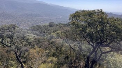Jujuy avanza en la construcci&oacute;n de su Estrategia Provincial de Biodiversidad