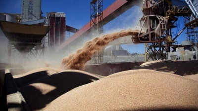 Las exportaciones de granos podr&iacute;an superar un "hito hist&oacute;rico" de US$ 40.500 millones
