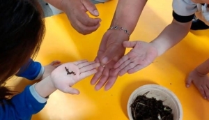 Taller de lombricultura acerc&oacute; a ni&ntilde;as y ni&ntilde;os al cuidado del ambiente