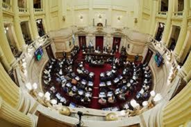 Senado debate la reforma de Salud Mental: autorizan internaciones no voluntarias y suman adicciones como enfermedad