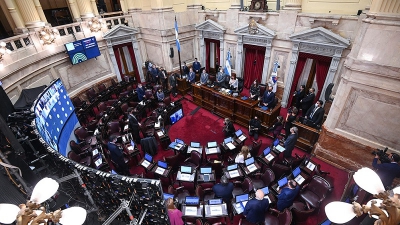 El Senado convirti&oacute; en ley la reforma del Impuesto a las Ganancias