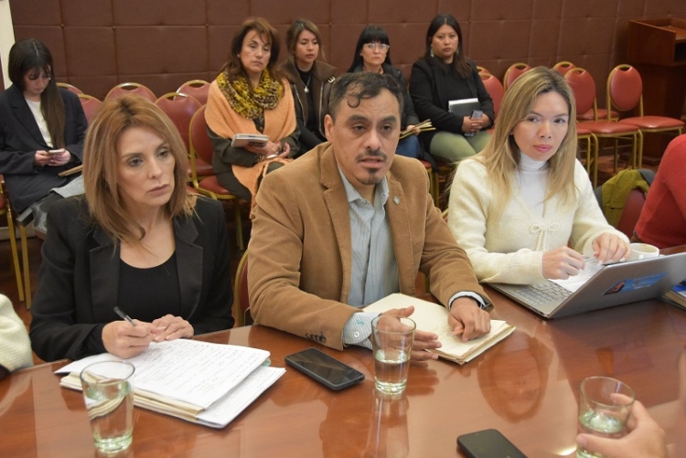 La Comisi&oacute;n de Salud avanz&oacute; en el debate sobre la Ley de Residencias en Ciencias de la Salud