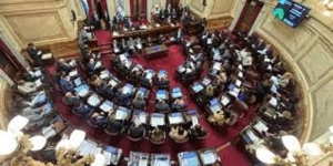 El Senado rechaz&oacute; el proyecto Ficha Limpia y Cristina Kirchner podr&aacute; ser candidata a nivel nacional