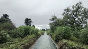 H&iacute;dricos instala rejas en el canal secundario 8