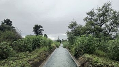 H&iacute;dricos instala rejas en el canal secundario 8