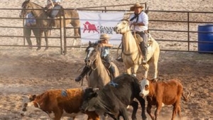Gran convocatoria en el Segundo Remate de Bovinos