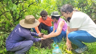 Jujuy compensa la Huella de Carbono de la PreCOP 29 junto a 5 provincias