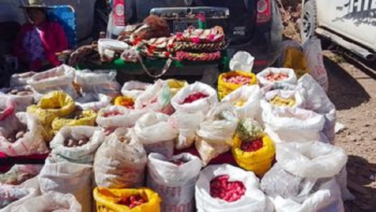 Encuentro de Ferias Campesinas: una celebraci&oacute;n de la identidad y la cultura