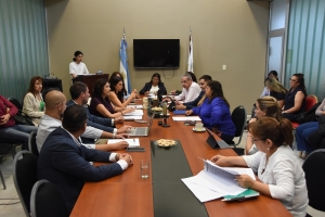 La Comisi&oacute;n de Asuntos Sociales analiz&oacute; un R&eacute;gimen de Patrocinio para deportistas juje&ntilde;os