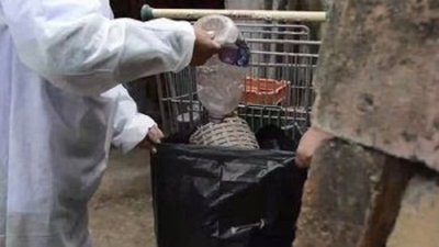 Dengue cero en el primer semestre del a&ntilde;o