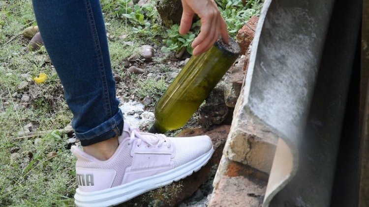 Se registraron 4 casos de dengue