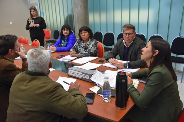 La comisi&oacute;n de derechos humanos avanzan  en el proyecto de capacitaci&oacute;n obligatoria sobre derechos de las personas con discapacidad