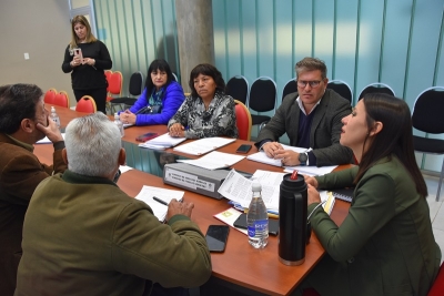 La comisi&oacute;n de derechos humanos avanzan  en el proyecto de capacitaci&oacute;n obligatoria sobre derechos de las personas con discapacidad
