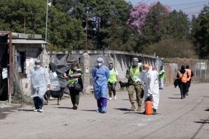 REPORTE DIARIO COVID 19