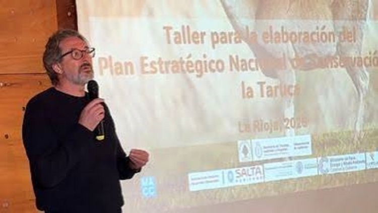 Avanzan en el Plan Estrat&eacute;gico para la conservaci&oacute;n de la Taruca, Monumento Natural en peligro de extinci&oacute;n