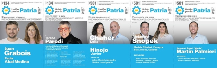 La lista &ldquo;Uni&oacute;n Por Jujuy&rdquo; del Frente Uni&oacute;n Por la Patria lleva como precandidatos a presidente a Sergio Massa y a Juan Grabois