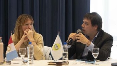 Jujuy particip&oacute; del Consejo Federal de Ni&ntilde;ez, Adolescencia y Familia