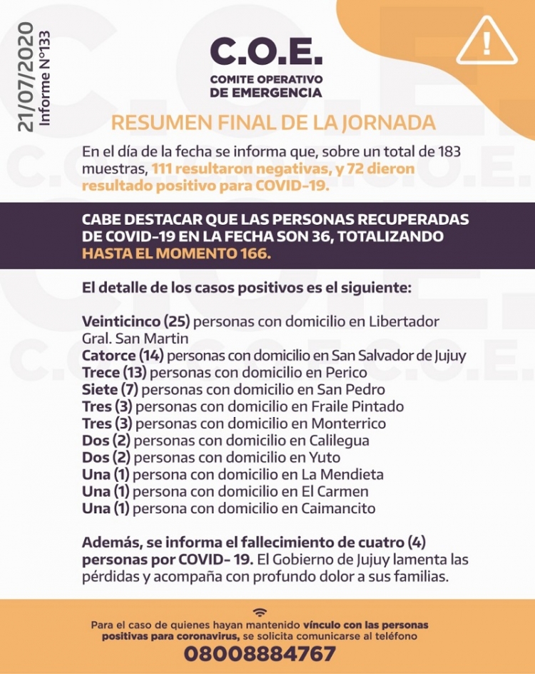 INFORME C.O.E. N&deg; 133