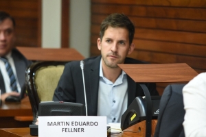 Fellner alertó sobre el riesgo de privatizar las sociedades del Estado sin diagnóstico ni datos concretos