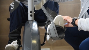 Discapacidad: invitan a reuni&oacute;n virtual para el dise&ntilde;o de proyectos que financia Naci&oacute;n