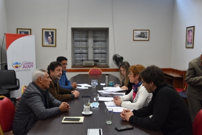 La comisi&oacute;n de legislaci&oacute;n general avanza en el estudio de varios proyectos