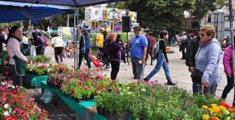 Ciclo de talleres y espect&aacute;culo musical durante la Flor M&aacute;s Bella en la ciudad