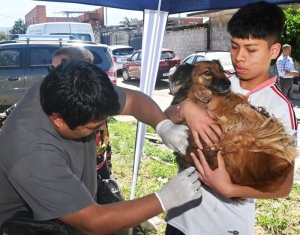 Zoonosis: el quir&oacute;fano m&oacute;vil y los operativos de vacunaci&oacute;n recorren distintos barrios