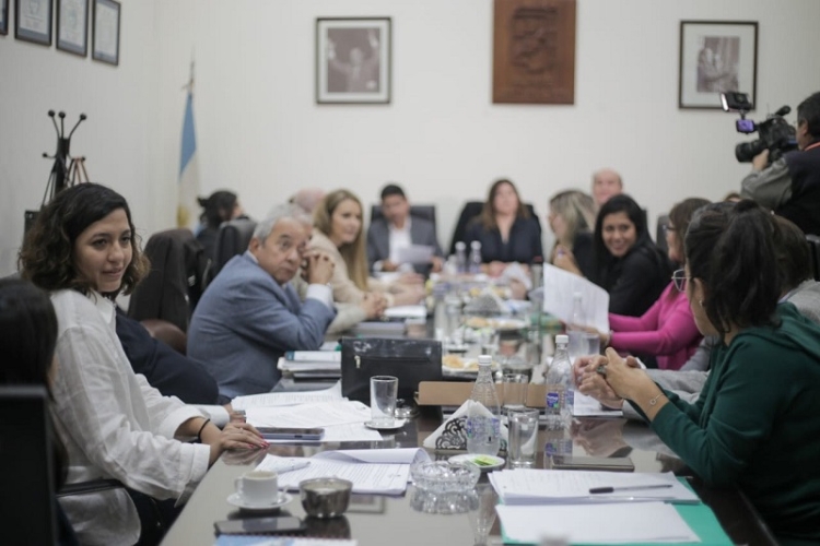 Leila Chaher: &ldquo;Bajo ning&uacute;n punto de vista el Peronismo puede acompa&ntilde;ar un proyecto de estas caracter&iacute;sticas&rdquo;