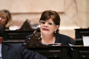 Adorni no est&aacute; en condiciones de cumplir su rol frente al Congreso