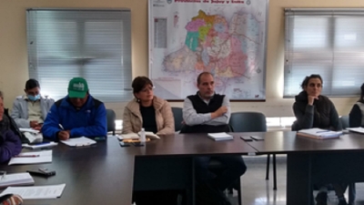 Jujuy planifica batir su r&eacute;cord de esquila sustentable de vicu&ntilde;as