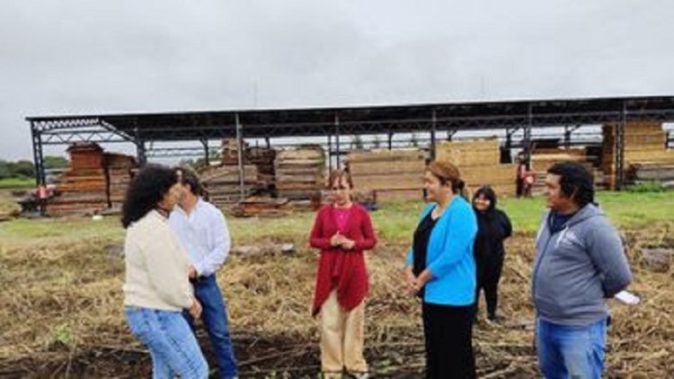 El Gobierno provincial avanza con el Programa de Ampliaci&oacute;n del Patrimonio Forestal Juje&ntilde;o