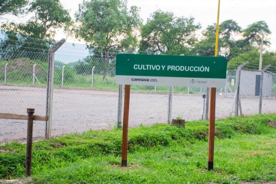 Jujuy pone en funcionamiento el primer laboratorio de cannabis medicinal del pa&iacute;s
