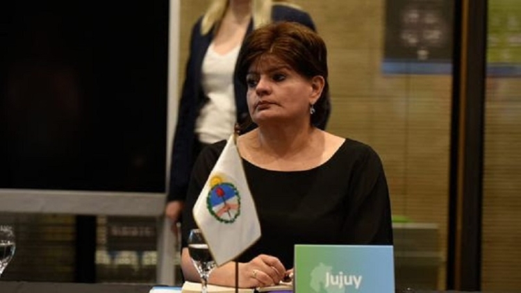 Aportes de Jujuy en el debate sobre la estrategia nacional para el Uso de los Mercados de Carbono