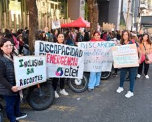 El Senado convirti&oacute; en ley la declaraci&oacute;n de emergencia en materia de discapacidad