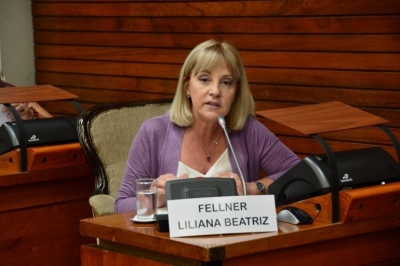 Liliana Fellner :"Pablo Baca debe renunciar y ponerse a disposici&oacute;n de la justicia"
