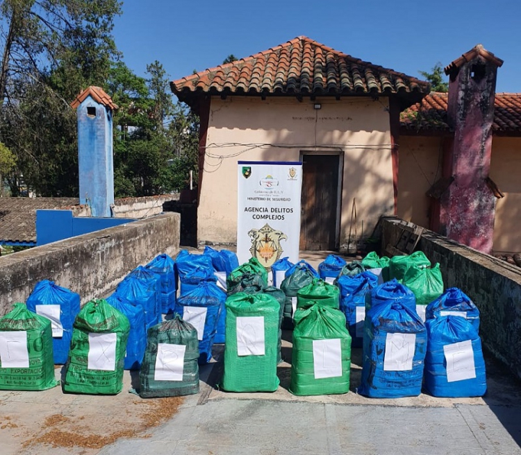 Decomisan 831 kilos de hoja de coca en estado natural