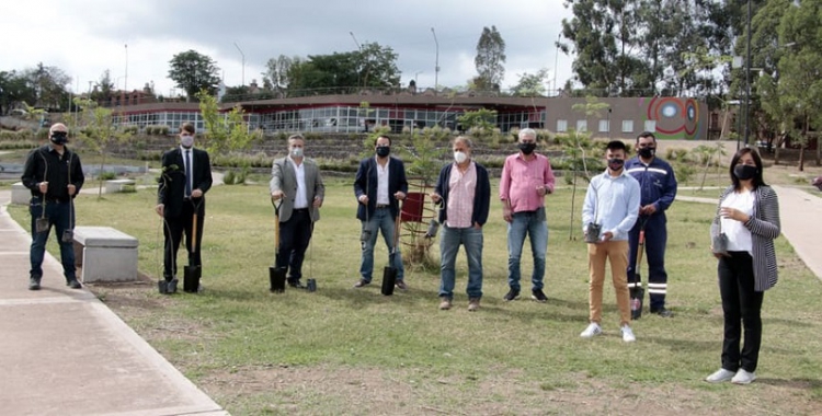 Se realizaron trabajos de forestaci&oacute;n