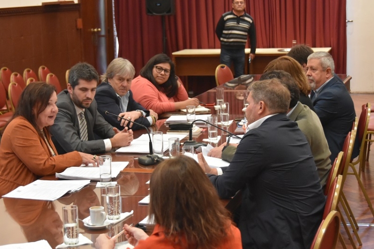 La legislatura trabaja en la reforma de la ley procesal de familia.